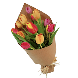 Cono de 10 Tulipanes