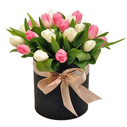Caja Box 20 Tulipanes dos Tonos | Da con Amor Duradero