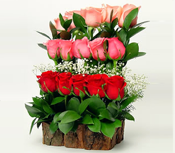 Arreglo de 15 Rosas | Envía Amor Natural | Flores en Línea