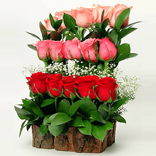 Arreglo de 15 Rosas | Envía Amor Natural | Flores en Línea