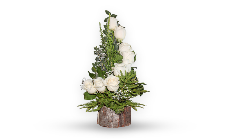 Arreglo de 8 rosas