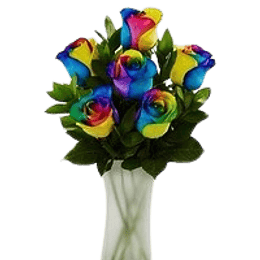 Florero 6 rosas Arcoiris | Regala Igualdad 