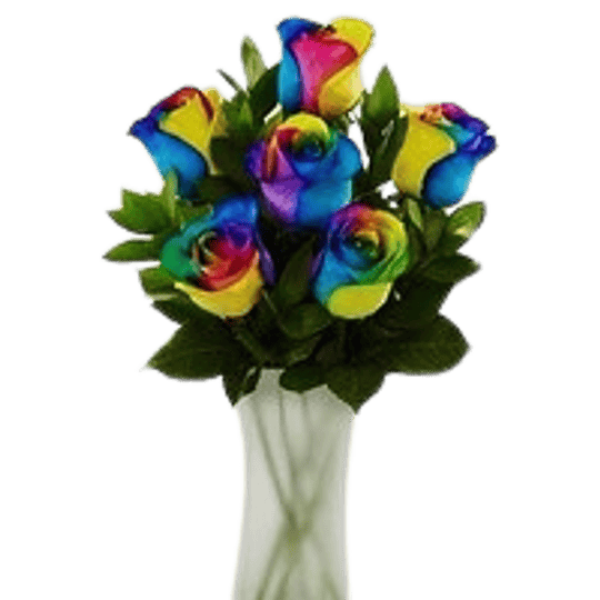 Florero 6 rosas Arcoiris | Regala Igualdad 