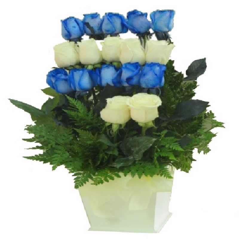 Armonia de Rosas en Base Blanca
