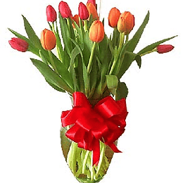 Florero 15 Tulipanes