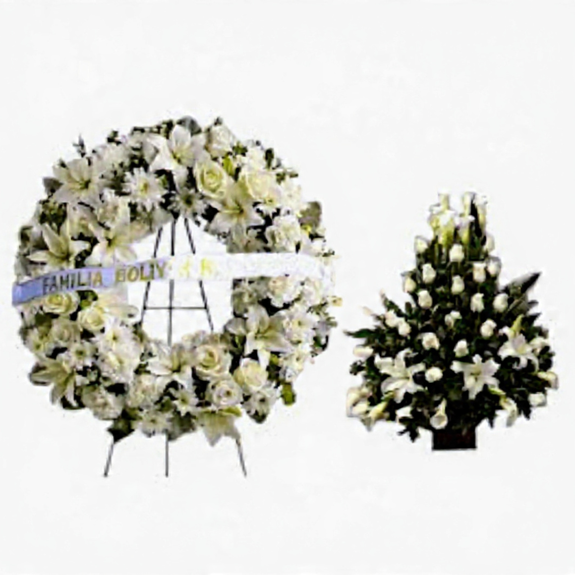 Elegia De Blancura. 1