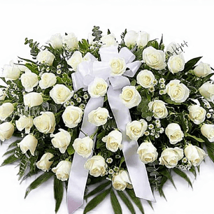 Cubre Urnas 50 Rosas Blancas.