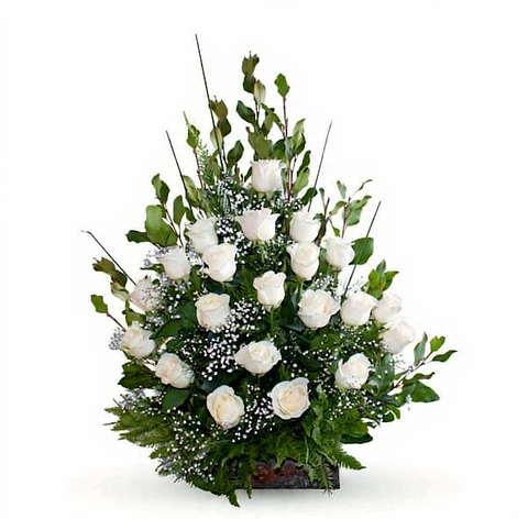 Arreglo de Condolencias - 25 Rosas Blancas Premium