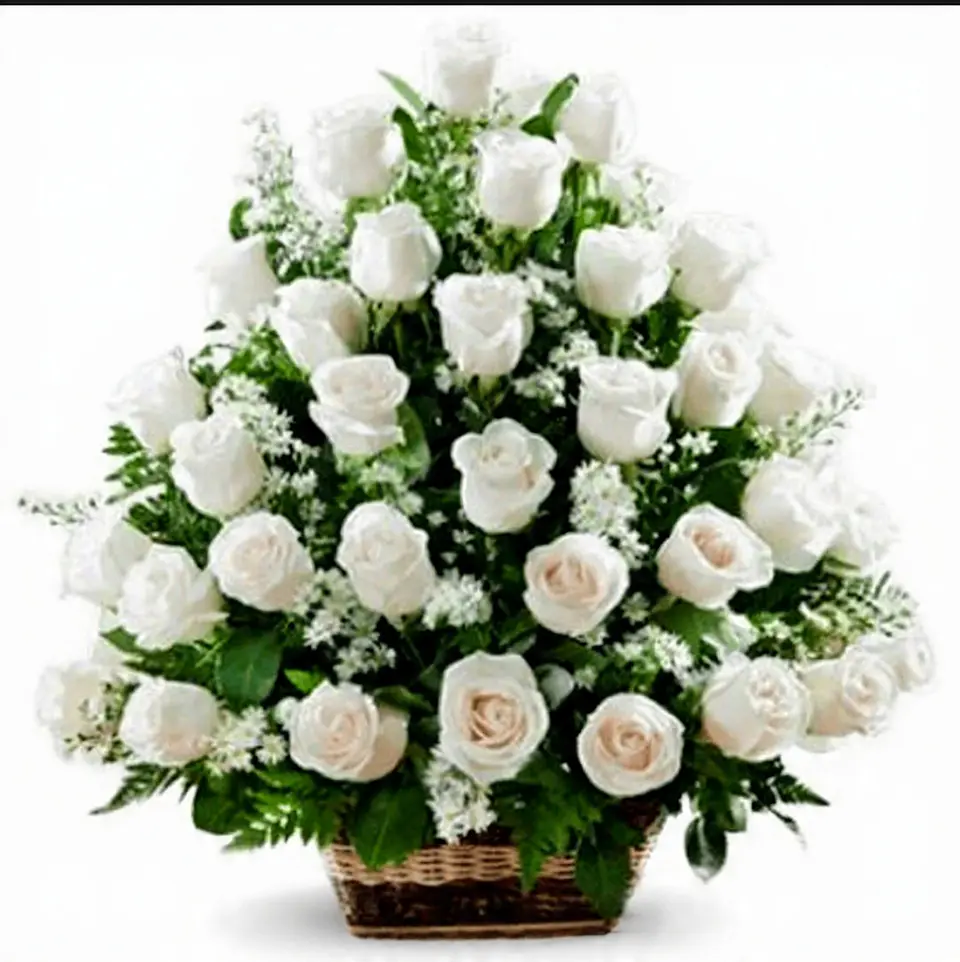 Arreglo de 50 Rosas Blancas Premium 85cm  1