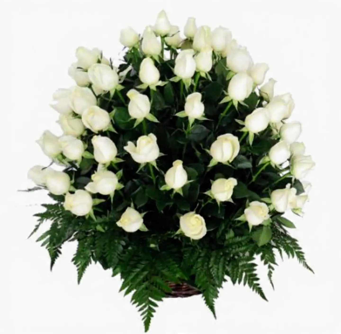 Arreglo de 100 Rosas Blancas Amor Infinito 1