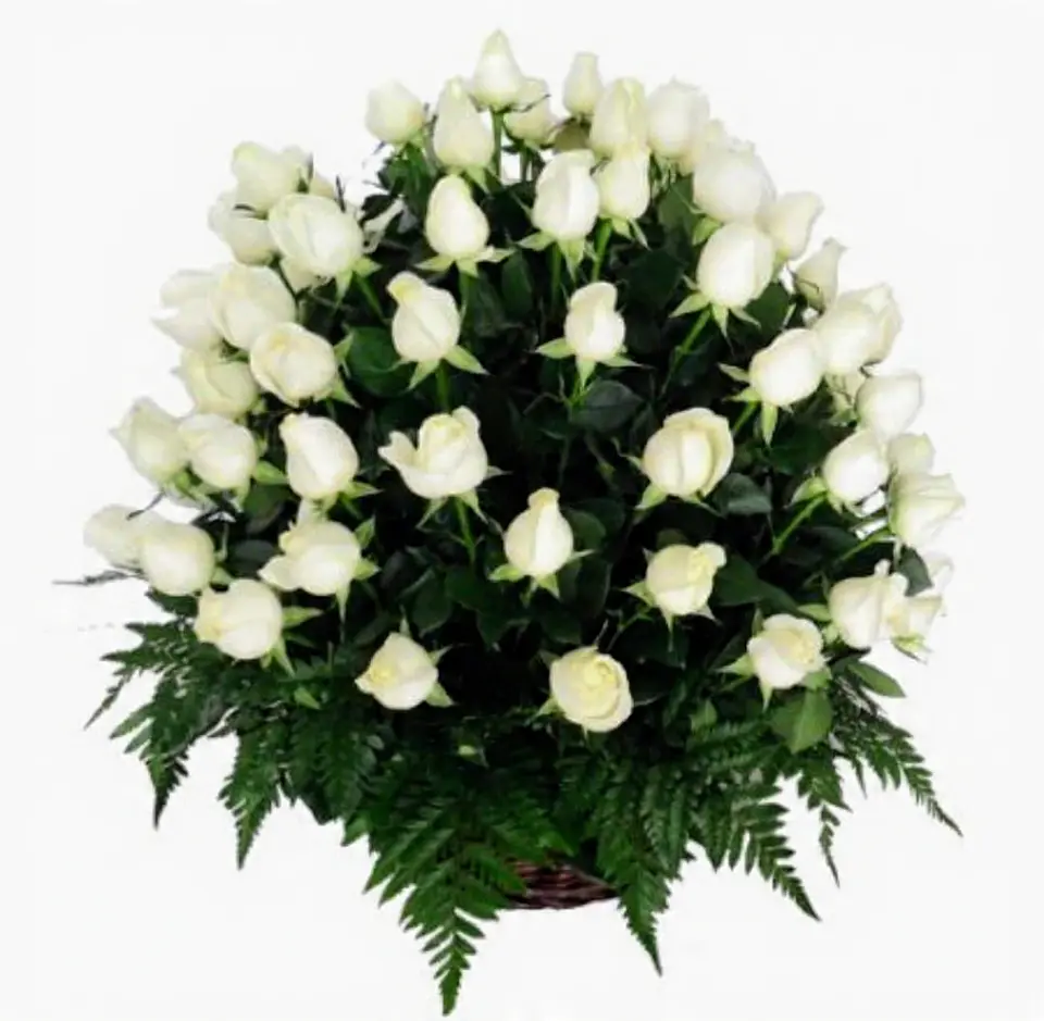 Arreglo de 100 Rosas Blancas Amor Infinito 1