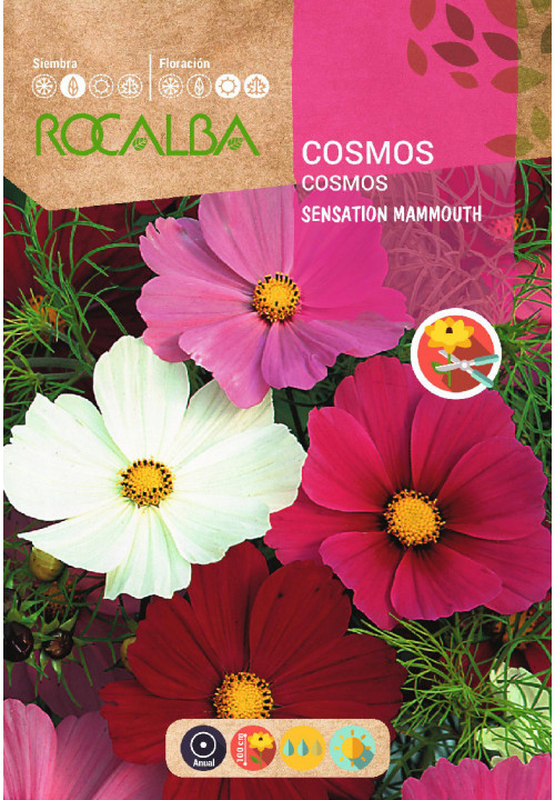 Cosmos Sensation (Semillas)