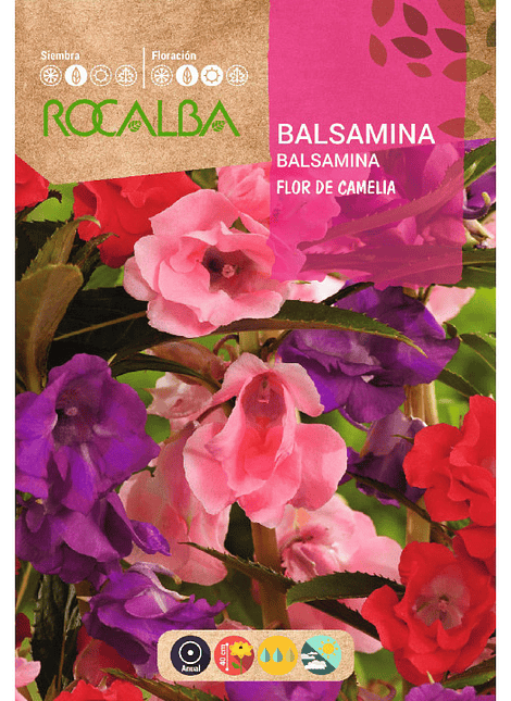 BALSAMINA (Flor de Camelia)
