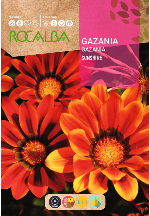 GAZANIA SUNSHINE