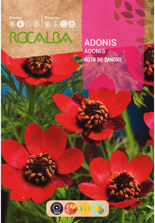 ADONIS GOTA DE SANGRE