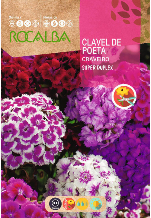 Semillas Clavel del Poeta - Mix de colores / Sobre 3g