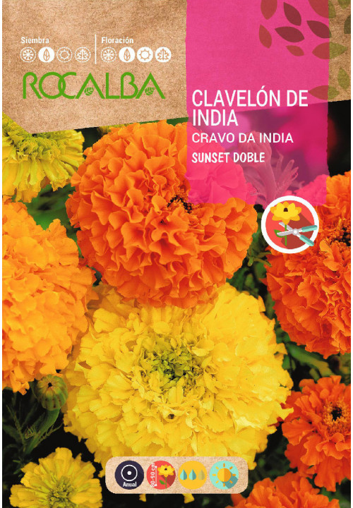 CLAVELON DE INDIA VARIADO