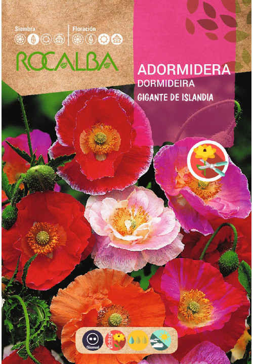 ADORMIDERA