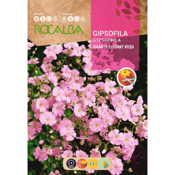 GIPSOFILA ROSA