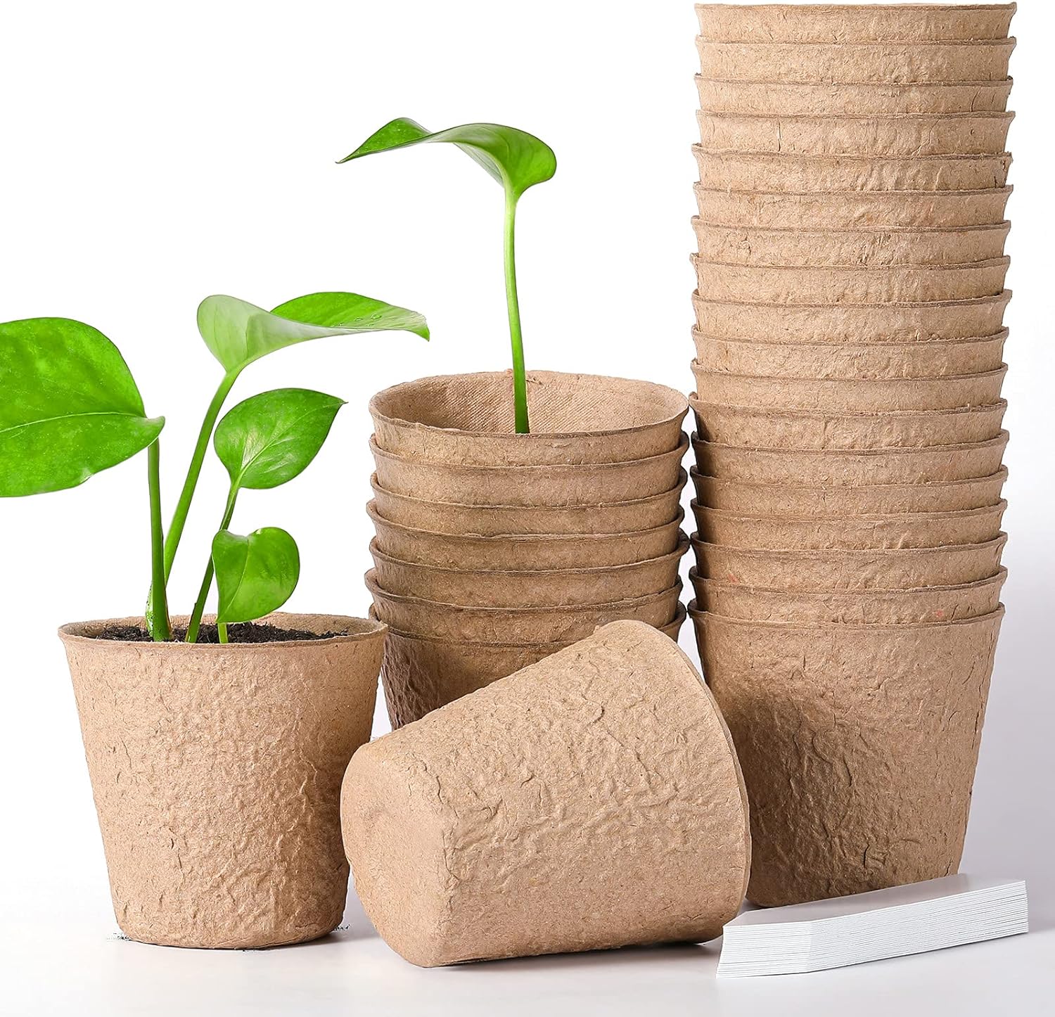 PACK 10 MACETEROS BIODEGRADABLES