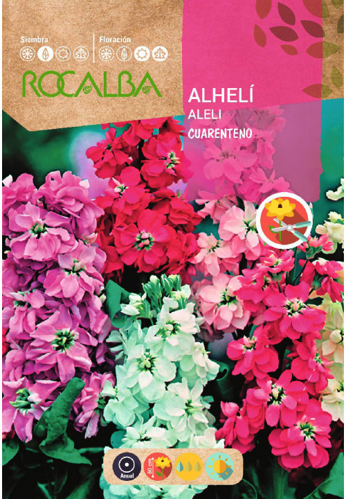 Alheli Cuarenteno (Semillas)