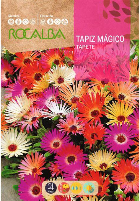 TAPIZ MAGICO