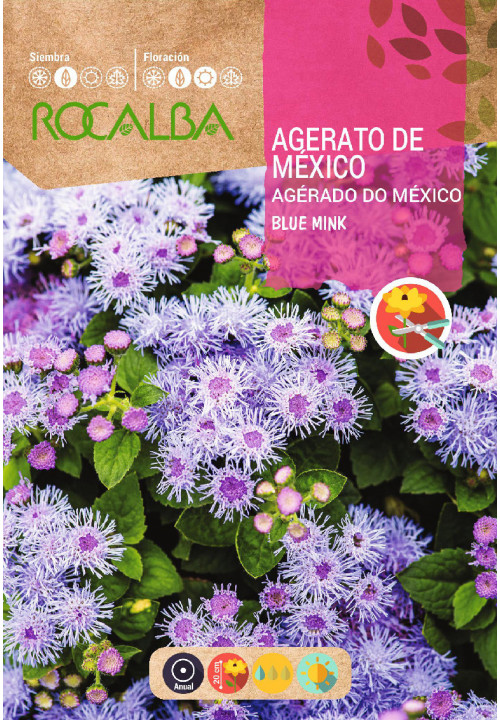 AGERATO DE MEXICO
