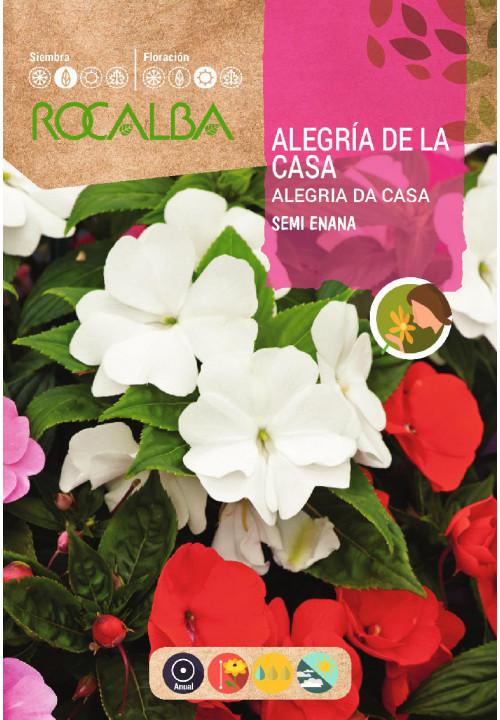 Alegria de la Casa Semi Enana (Semillas)