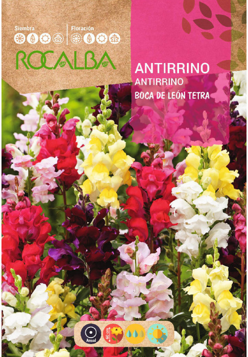 ANTIRRINO VARIADO