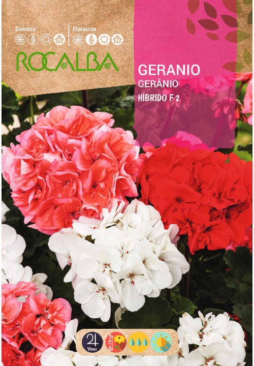 GERANIO