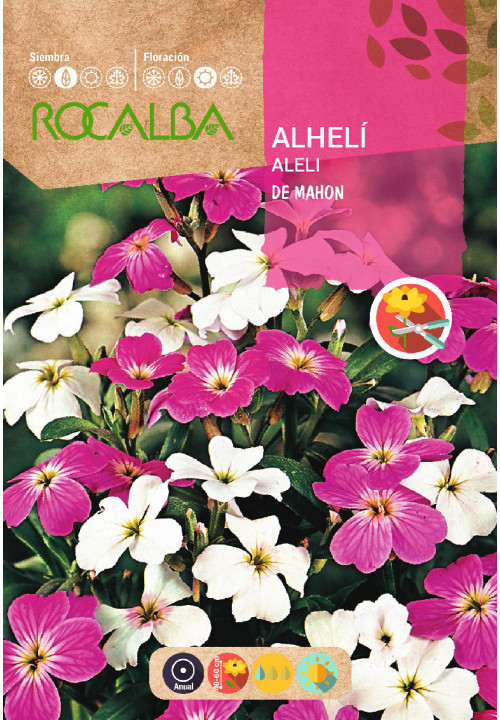 ROCALBA SEMILLA ALHELI VARIADO