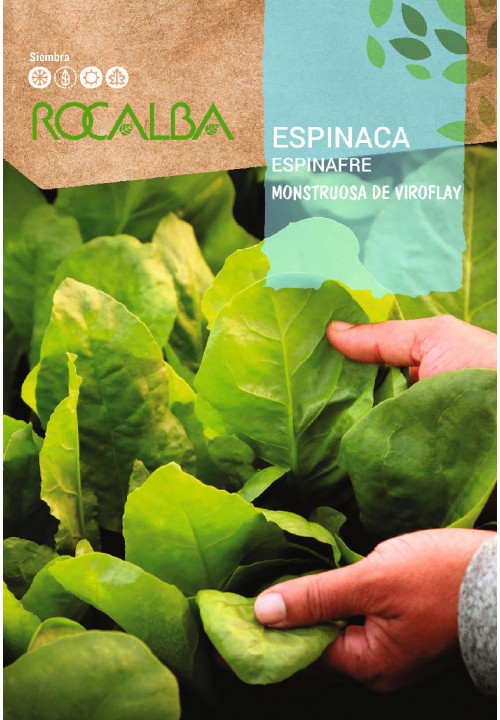 ESPINACA