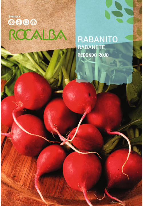 RABANITO