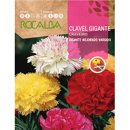 CLAVEL GIGANTE CRAVEIRO