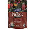 PACK NAVIDEÑO LILIUMS POT + FERTILIZANTE