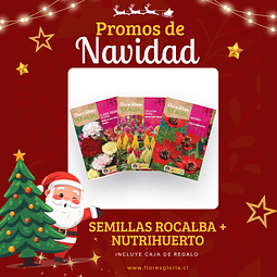 PACK NAVIDEÑO SEMILLAS + FERTILIZANTE NUTRIHUERTO