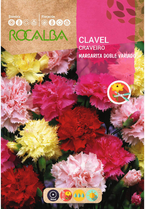 CLAVEL CRAVEIRO