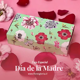 Caja especial DIA DE LA MADRE 💕