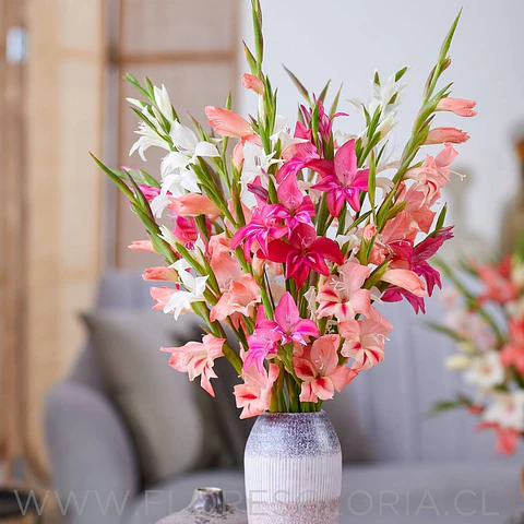 Caja especial DIA DE LA MADRE 💕