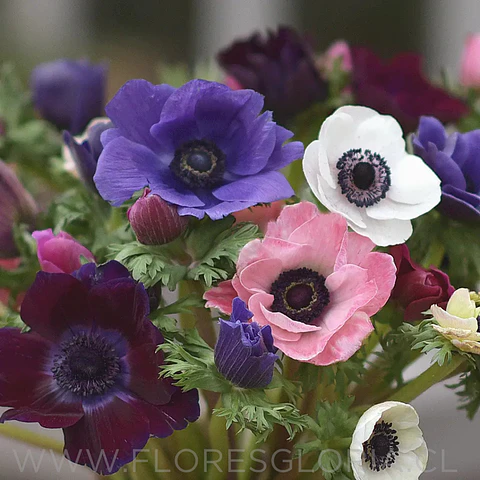 Caja especial DIA DE LA MADRE 💕