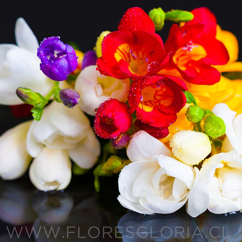 Caja especial DIA DE LA MADRE #2 💕