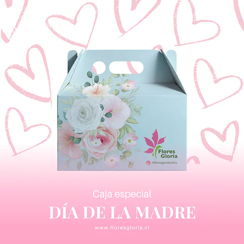 Caja especial DIA DE LA MADRE #2 💕