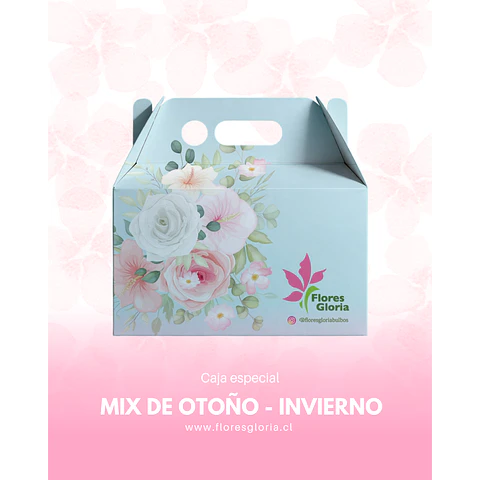 Caja especial MIX DE OTOÑO- INVIERNO 🍁