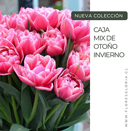 Caja especial MIX DE OTOÑO- INVIERNO 🍁