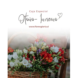 Caja especial MIX DE OTOÑO- INVIERNO 🍁