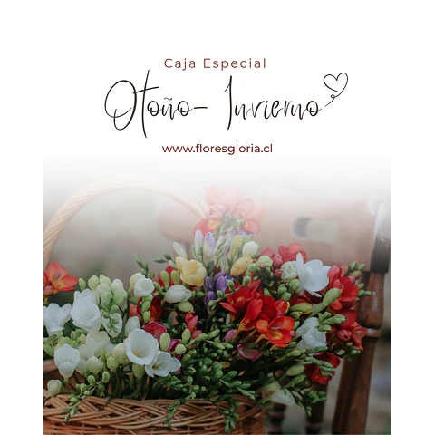 Caja especial MIX DE OTOÑO- INVIERNO 🍁