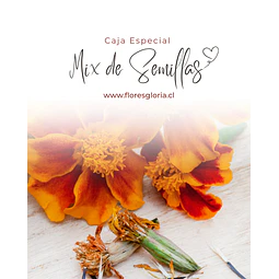 Caja especial MIX DE SEMILLAS🌿