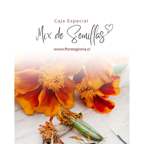 Caja especial MIX DE SEMILLAS🌿