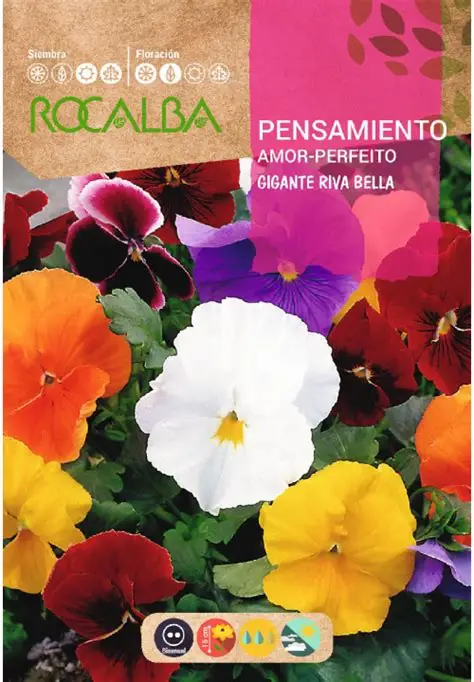 ROCALBA SEMILLA PENSAMIENTO COLOR VARIADO