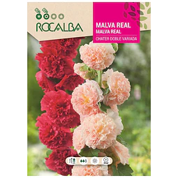 MALVA REAL DOBLE VARIADA